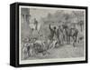 Getting it Hot-Alfred William Strutt-Framed Stretched Canvas
