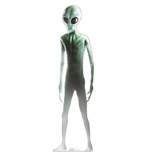 Cardboard Cutouts, , large