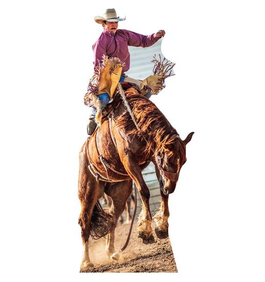 Cardboard Cutouts, , large