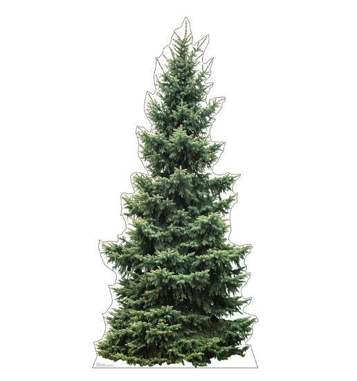 Cardboard Cutouts, , large