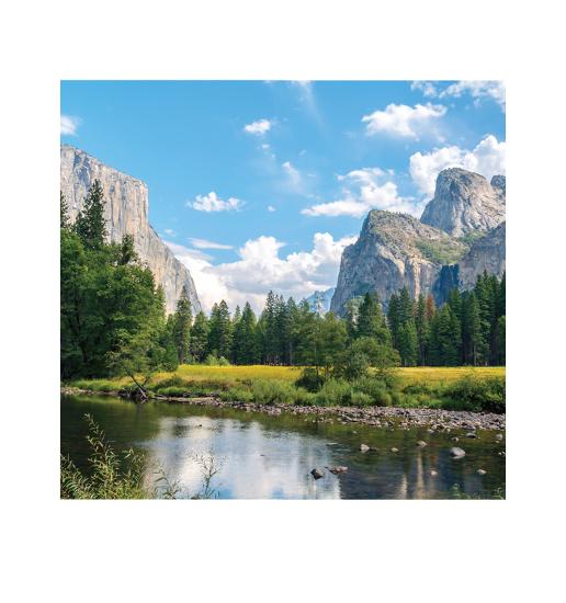 Cardboard Cutouts, , large