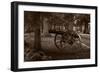 Gettysburg Cannon B W-Steve Gadomski-Framed Photographic Print