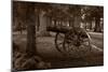 Gettysburg Cannon B W-Steve Gadomski-Mounted Photographic Print