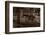 Gettysburg Cannon B W-Steve Gadomski-Framed Photographic Print