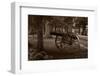 Gettysburg Cannon B W-Steve Gadomski-Framed Photographic Print