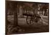 Gettysburg Cannon B W-Steve Gadomski-Framed Photographic Print