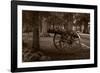 Gettysburg Cannon B W-Steve Gadomski-Framed Photographic Print