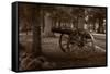 Gettysburg Cannon B W-Steve Gadomski-Framed Stretched Canvas