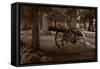 Gettysburg Cannon B W-Steve Gadomski-Framed Stretched Canvas