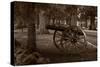 Gettysburg Cannon B W-Steve Gadomski-Stretched Canvas