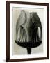 Geum Rivale. 1929 (Photogravure)-Karl Blossfeldt-Framed Giclee Print