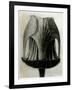 Geum Rivale. 1929 (Photogravure)-Karl Blossfeldt-Framed Giclee Print