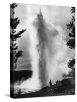 Geyser Erupting in Yellowstone Park-Alfred Eisenstaedt-Stretched Canvas