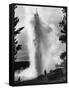 Geyser Erupting in Yellowstone Park-Alfred Eisenstaedt-Framed Stretched Canvas