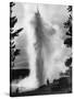 Geyser Erupting in Yellowstone Park-Alfred Eisenstaedt-Stretched Canvas