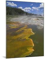 Geyser Hill, Upper Geyser Basin, Yellowstone National Park, Wyoming, USA-Neale Clarke-Mounted Photographic Print