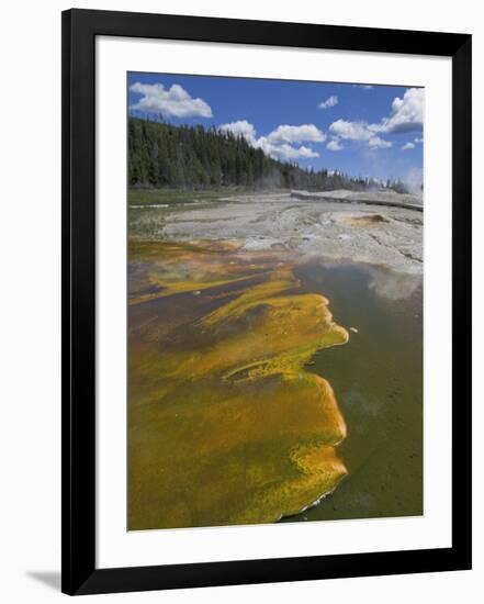 Geyser Hill, Upper Geyser Basin, Yellowstone National Park, Wyoming, USA-Neale Clarke-Framed Photographic Print