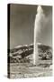 Geyser Near Calistoga, California-null-Stretched Canvas