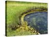 Geyser Pool, Yellowstone National Park, Wyoming, USA-William Sutton-Stretched Canvas