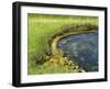 Geyser Pool, Yellowstone National Park, Wyoming, USA-William Sutton-Framed Photographic Print