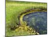 Geyser Pool, Yellowstone National Park, Wyoming, USA-William Sutton-Mounted Photographic Print