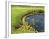 Geyser Pool, Yellowstone National Park, Wyoming, USA-William Sutton-Framed Photographic Print