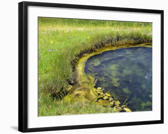 Geyser Pool, Yellowstone National Park, Wyoming, USA-William Sutton-Framed Photographic Print