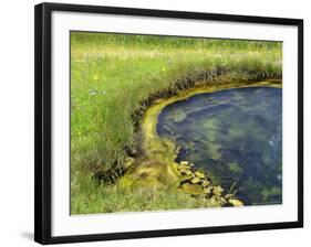 Geyser Pool, Yellowstone National Park, Wyoming, USA-William Sutton-Framed Photographic Print