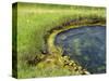 Geyser Pool, Yellowstone National Park, Wyoming, USA-William Sutton-Stretched Canvas