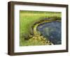 Geyser Pool, Yellowstone National Park, Wyoming, USA-William Sutton-Framed Photographic Print