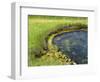 Geyser Pool, Yellowstone National Park, Wyoming, USA-William Sutton-Framed Photographic Print