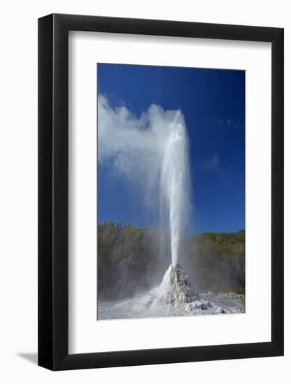 Geyser, Waiotapu, near Rotorua, North Island, New Zealand-David Wall-Framed Photographic Print