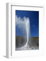 Geyser, Waiotapu, near Rotorua, North Island, New Zealand-David Wall-Framed Photographic Print