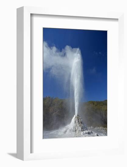 Geyser, Waiotapu, near Rotorua, North Island, New Zealand-David Wall-Framed Photographic Print