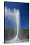 Geyser, Waiotapu, near Rotorua, North Island, New Zealand-David Wall-Stretched Canvas