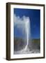 Geyser, Waiotapu, near Rotorua, North Island, New Zealand-David Wall-Framed Photographic Print