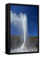 Geyser, Waiotapu, near Rotorua, North Island, New Zealand-David Wall-Framed Stretched Canvas