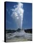 Geyser, Yellowstone National Park, Unesco World Heritage Site, Wyoming, USA-Tony Waltham-Stretched Canvas