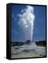 Geyser, Yellowstone National Park, Unesco World Heritage Site, Wyoming, USA-Tony Waltham-Framed Stretched Canvas