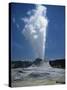 Geyser, Yellowstone National Park, Unesco World Heritage Site, Wyoming, USA-Tony Waltham-Stretched Canvas