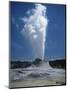 Geyser, Yellowstone National Park, Unesco World Heritage Site, Wyoming, USA-Tony Waltham-Mounted Premium Photographic Print