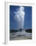 Geyser, Yellowstone National Park, Unesco World Heritage Site, Wyoming, USA-Tony Waltham-Framed Photographic Print