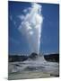 Geyser, Yellowstone National Park, Unesco World Heritage Site, Wyoming, USA-Tony Waltham-Mounted Photographic Print