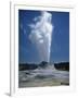 Geyser, Yellowstone National Park, Unesco World Heritage Site, Wyoming, USA-Tony Waltham-Framed Photographic Print