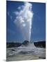 Geyser, Yellowstone National Park, Unesco World Heritage Site, Wyoming, USA-Tony Waltham-Mounted Photographic Print