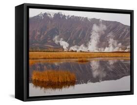 Geysers and Fumeroles of the Uzon Volcano, Kronotsky Zapovednik Reserve, Kamchatka, Russia-Igor Shpilenok-Framed Stretched Canvas