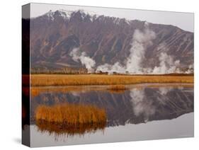 Geysers and Fumeroles of the Uzon Volcano, Kronotsky Zapovednik Reserve, Kamchatka, Russia-Igor Shpilenok-Stretched Canvas