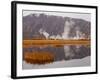 Geysers and Fumeroles of the Uzon Volcano, Kronotsky Zapovednik Reserve, Kamchatka, Russia-Igor Shpilenok-Framed Photographic Print