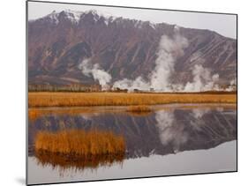 Geysers and Fumeroles of the Uzon Volcano, Kronotsky Zapovednik Reserve, Kamchatka, Russia-Igor Shpilenok-Mounted Photographic Print