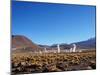 Geysers El Tatio, Antofagasta Region, Chile, South America-Karol Kozlowski-Mounted Photographic Print